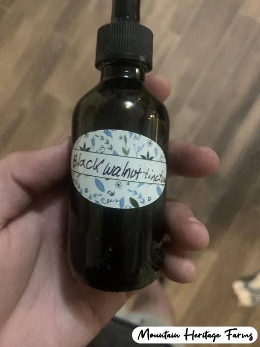 Photo of Black Walnut Tincture